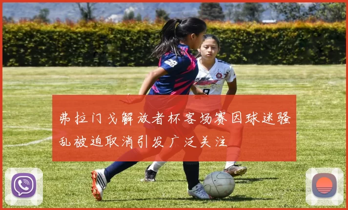 弗拉门戈解放者杯客场赛因球迷骚乱被迫取消引发广泛关注